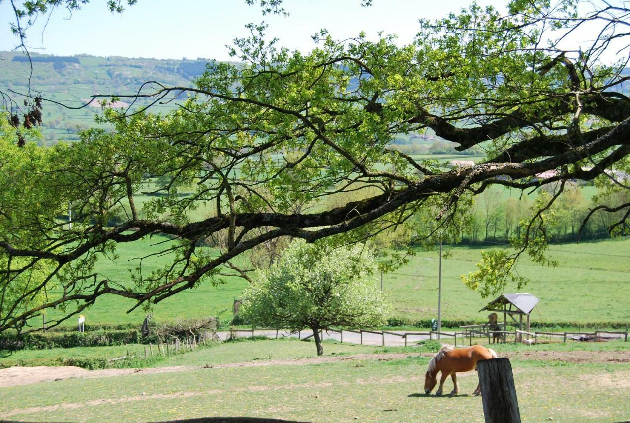 Village.Insolite Montagny-sur-Grosne Bagian luar foto