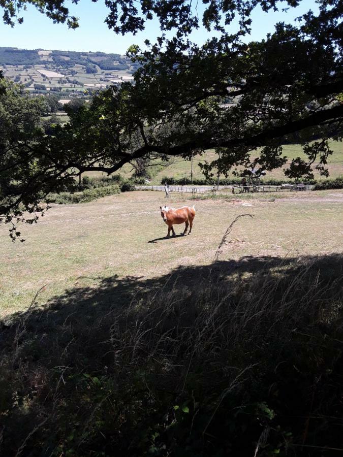 Village.Insolite Montagny-sur-Grosne Bagian luar foto